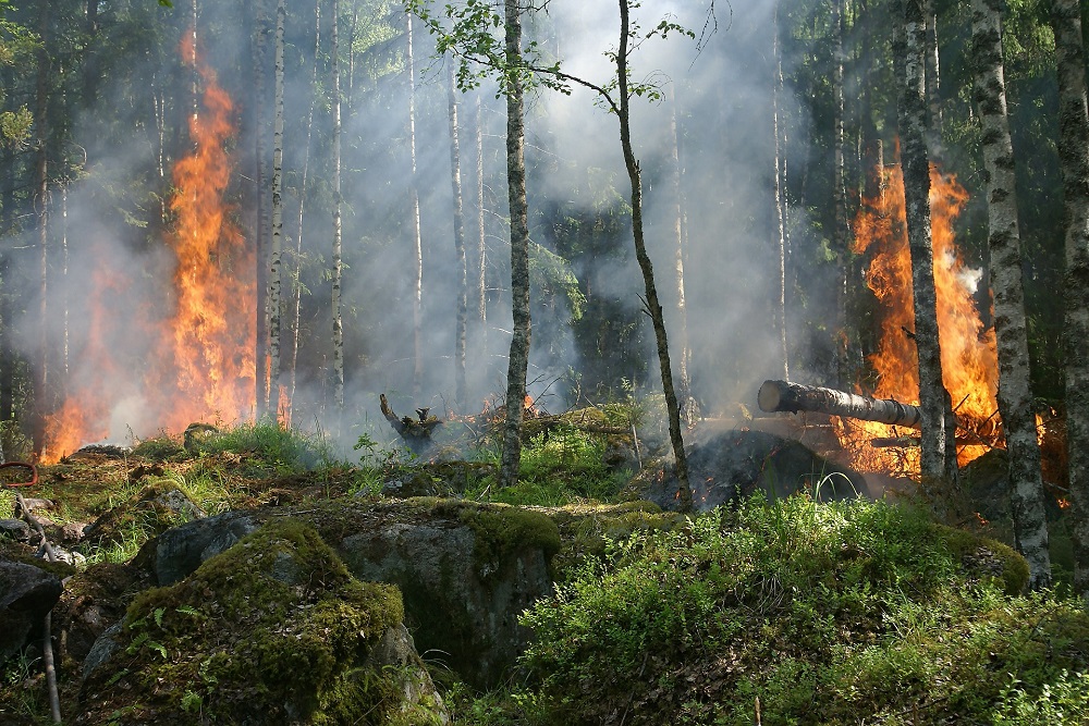 Forest fires: Malaysia schools closed