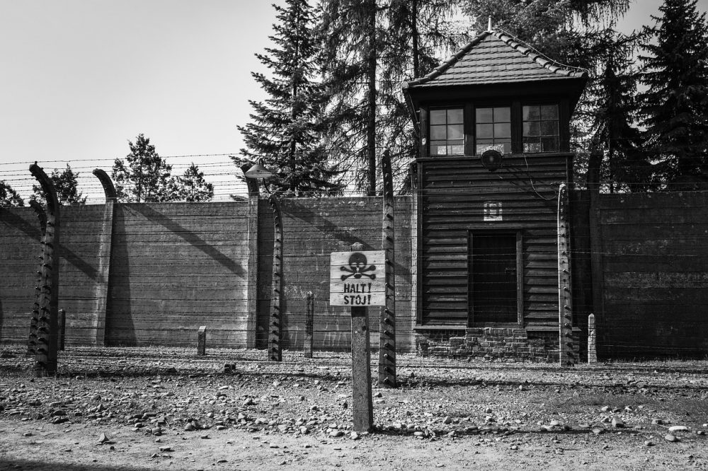 The pressing need for Holocaust education in the US