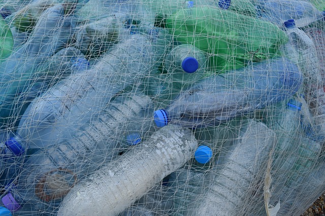 Plastic pollution contest, 2 teams receive awards