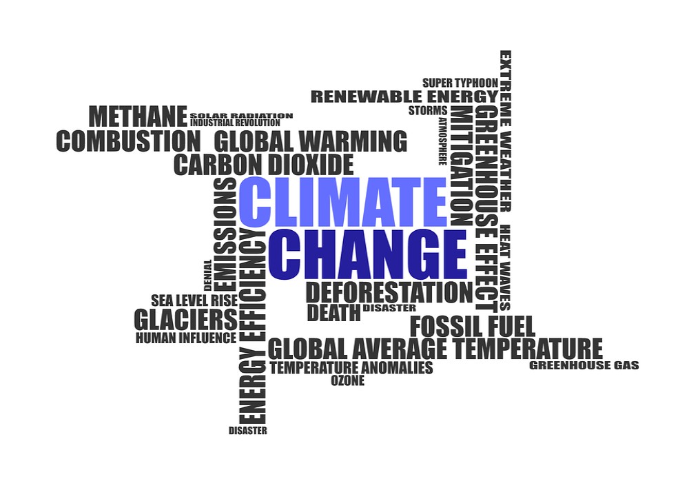 Cheaper and more efficient carbon dioxide trapping device developed by MIT engineers