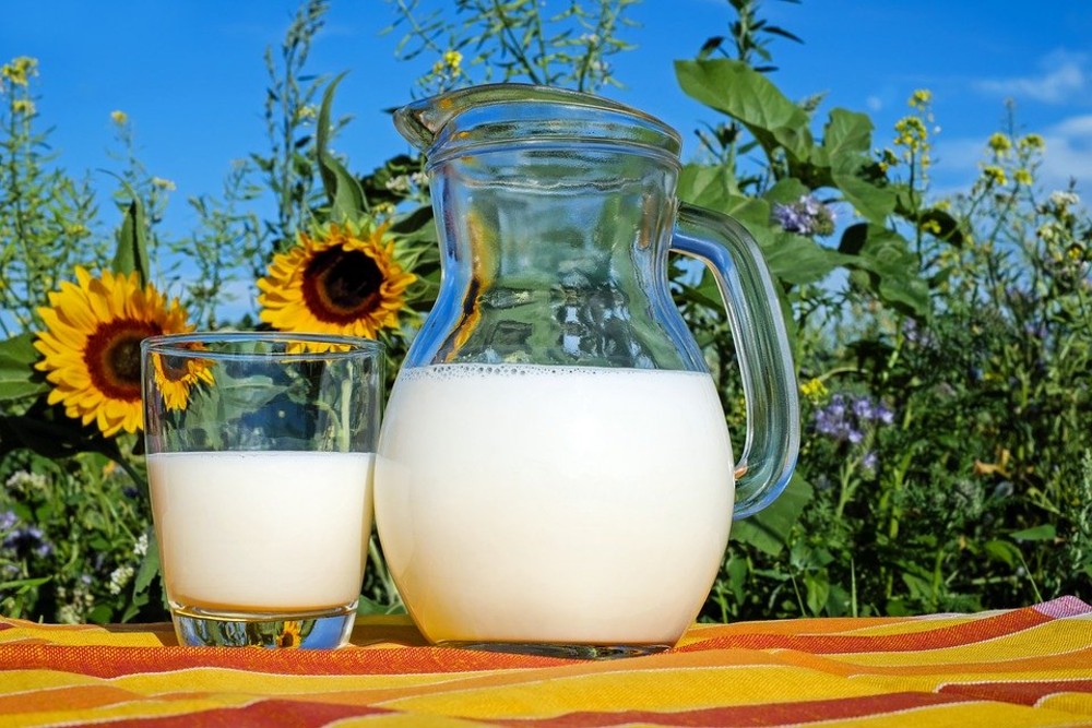 Study shows that drinking 1 percent milk fat rather than 2 increases lifespan by 4.5 years