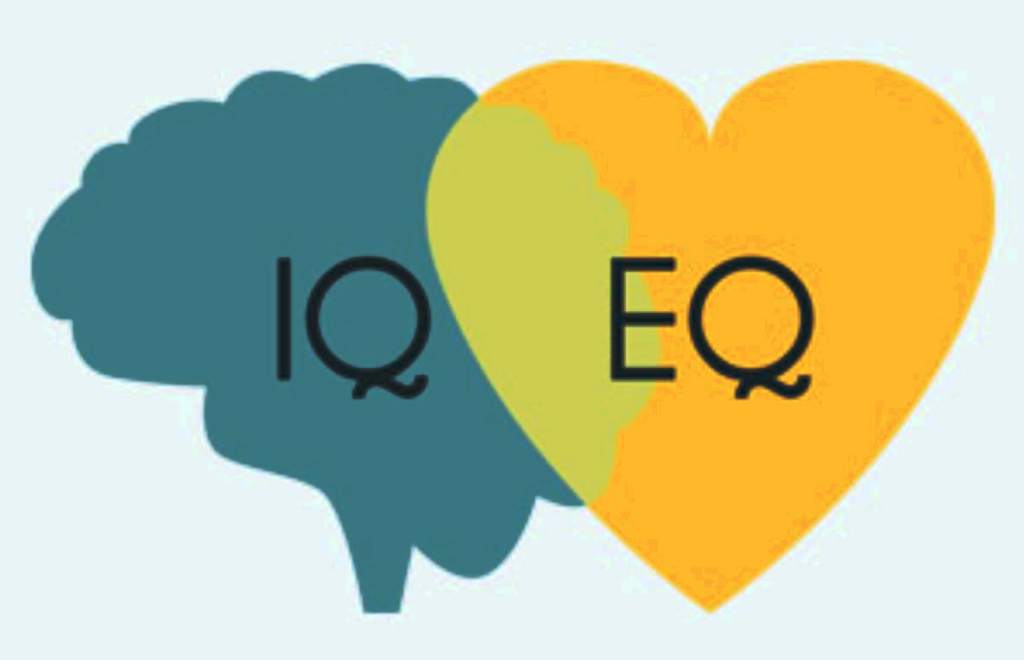 emotional intelligence